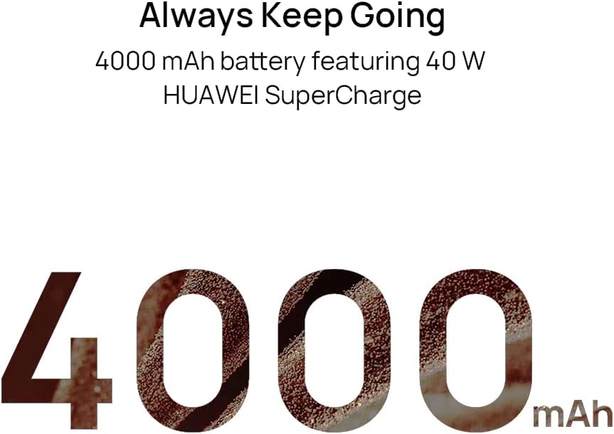 51p3mVObK5L._AC_SL1000_